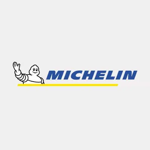 logo-michelini